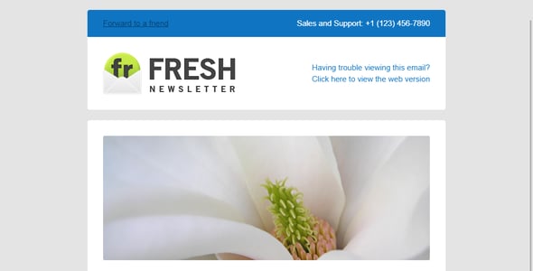 Fresh Newsletter - Hybrid Email Template + Access to Gifky Layout Builder