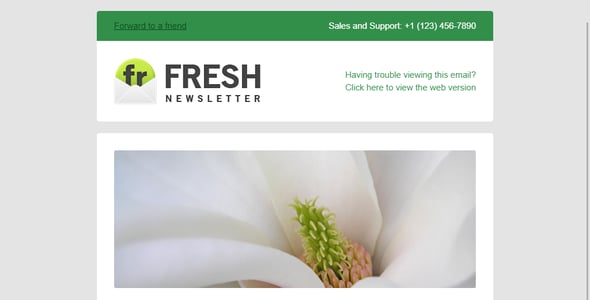 Fresh Newsletter - Hybrid Email Template + Access to Gifky Layout Builder