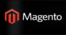 MAGENTO THEMES