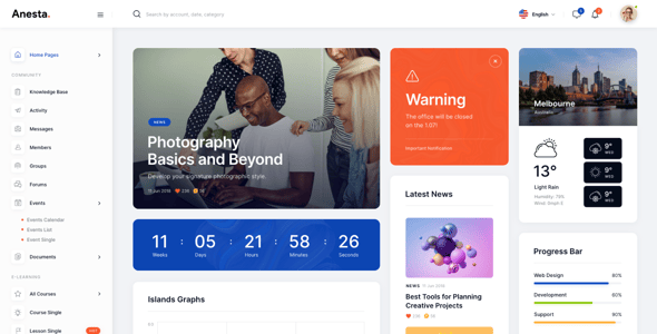Anesta - Intranet, Extranet, Community and BuddyPress WordPress Theme