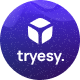 Tryesy - Creative Digital Agency WordPress Theme - ThemeForest Item for Sale