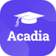 Acadia - University & Online Course Vue Nuxt 3 Template - ThemeForest Item for Sale